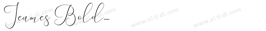 Jeames Bold字体转换